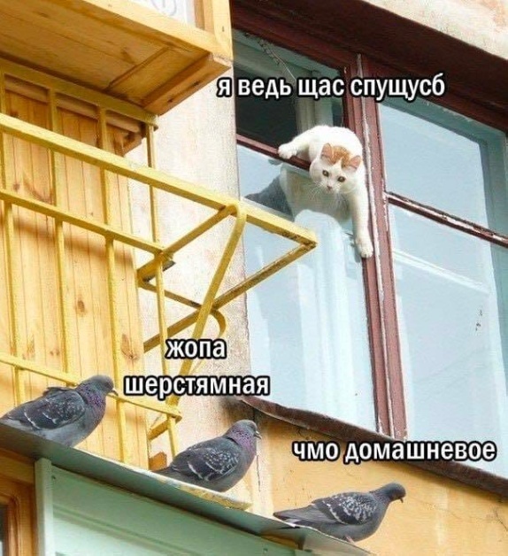 Сундук деграданта! Выпуск номер 8