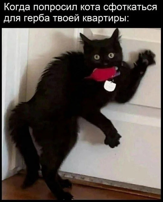 Среды картинки