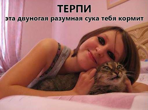 Картиночки, баянчики 24 января