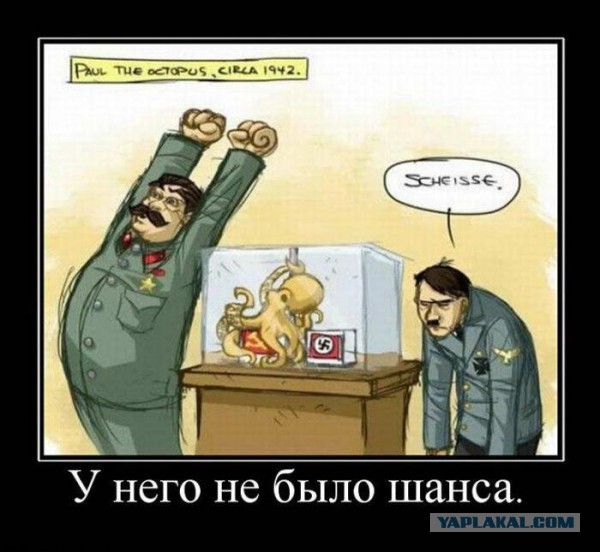 Company of Heroes 2 (игры от нацистов)