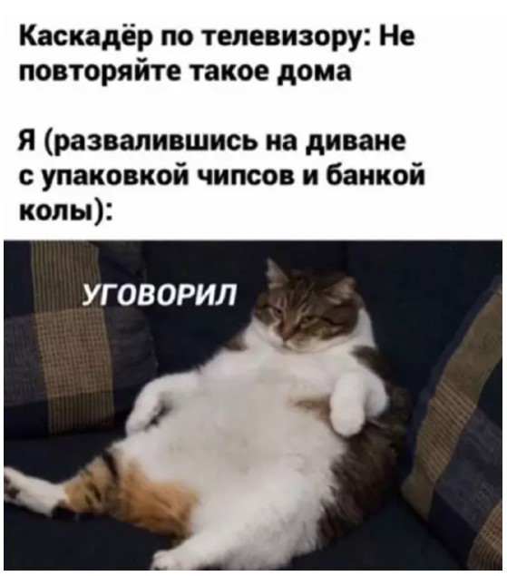 Картиночки, баянчики 06 июня