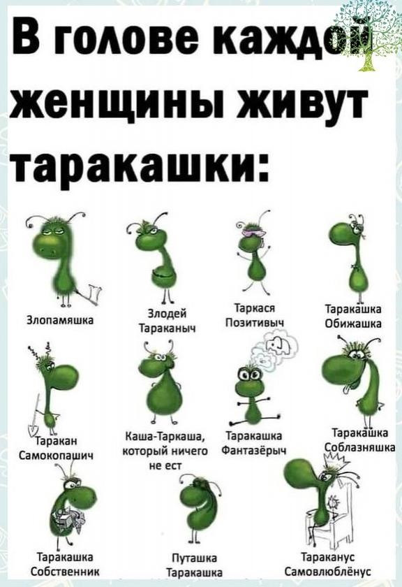 Красивая девушка, 27 лет, с высшим образованием, не замужем - до сих пор не может найти парня