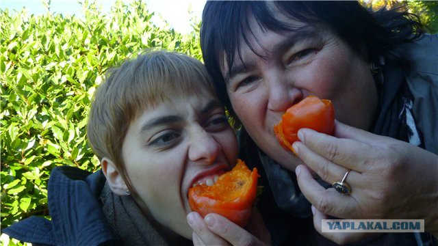 Сам напросился. Доходчиво объяснили...