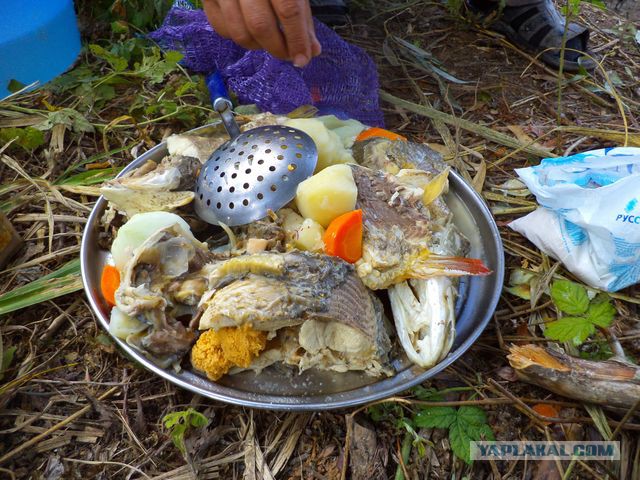 Рыбалка в Астрахани