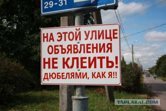 Сниму и накажу