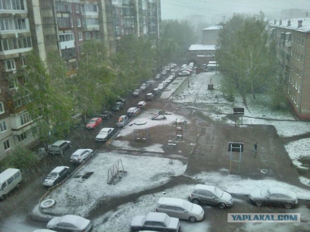 У нас снег пошёл.