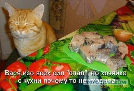 Позитивные картинки
