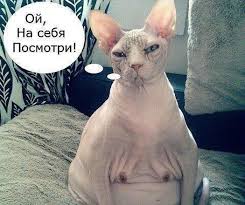 Чёрт, чёрт, чёрт!
