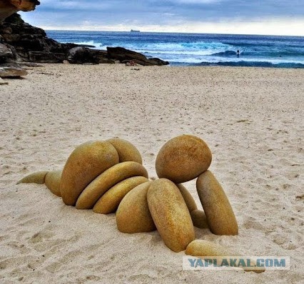 Так...солянка