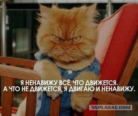 Перекупы вы о****и!