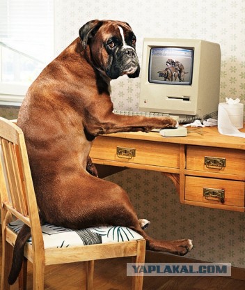 Плюсомет со шпалометом