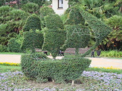 Плюсомет со шпалометом