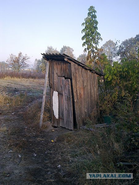 Парк какашек в Южной Корее