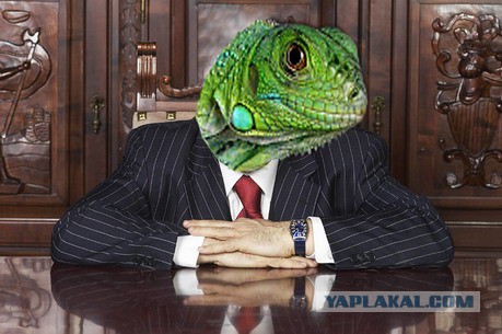 Всем зеленки!