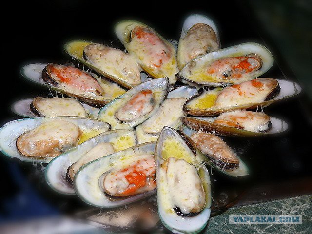 Ватерклозет