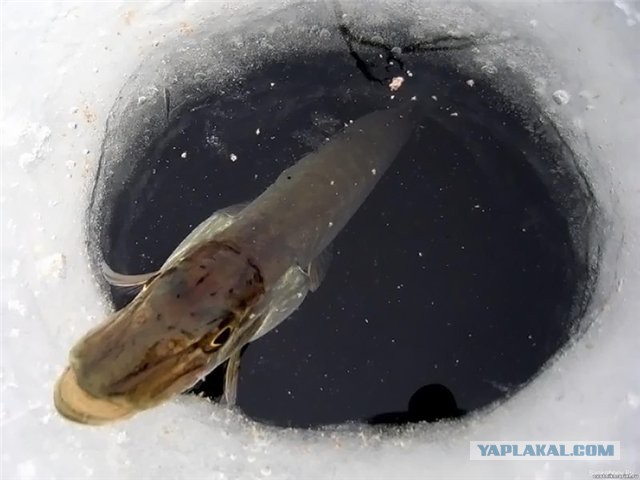 Суббота, она уже скоро...