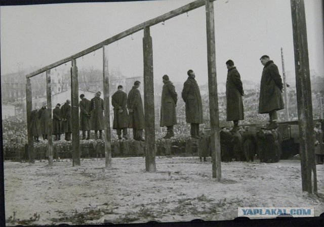 Семья пленного комбата из Житомира