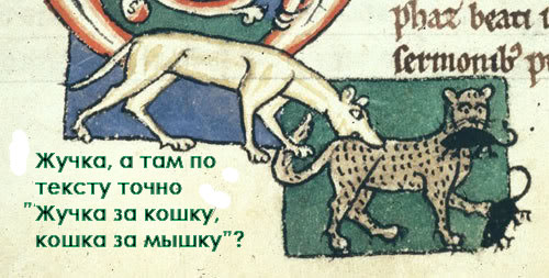 Средневековое веселье 2