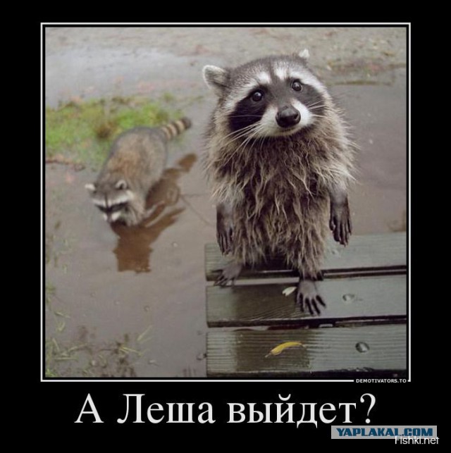 Смешные комментарии 04.03.2015