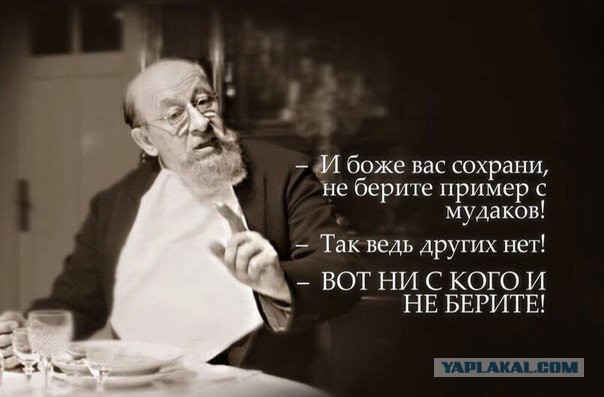 Забавные картинки из сети