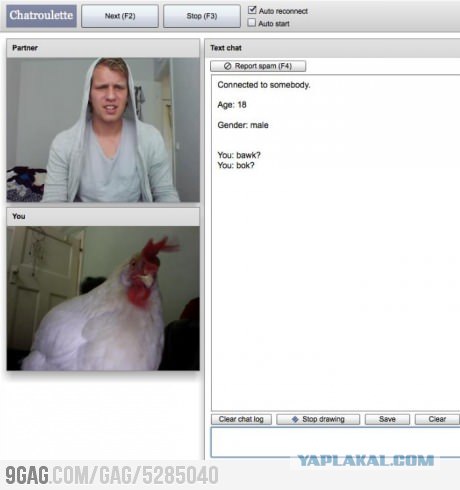 Первый возникший вопрос