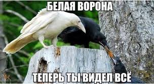 Теперь ты видел всё