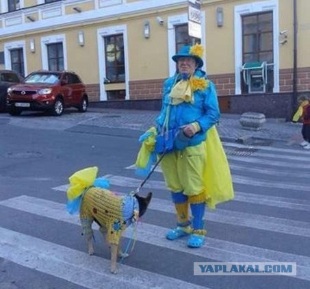 Украинцы уже через год почувствуют эффект