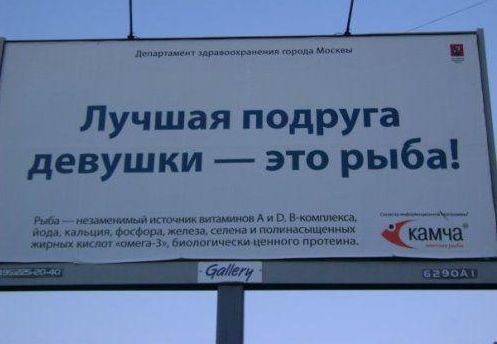Прикольные картинки из сети