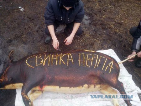 Откуда глаза?