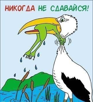 Удачная рыбалка