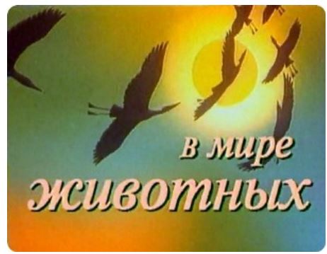 25 популярных телепередач в СССР
