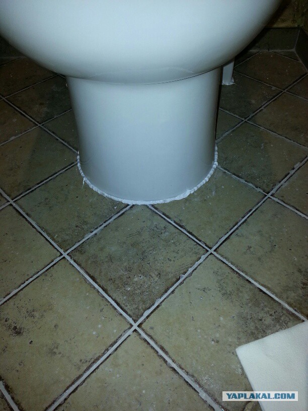 Боремся с плесенью