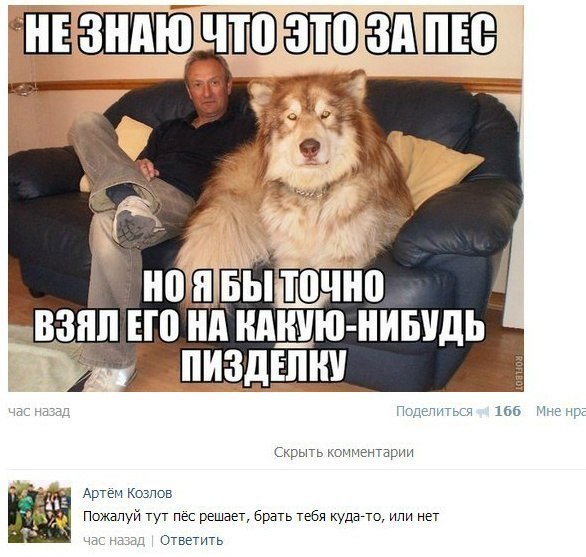 картинки на выходные