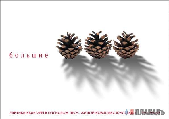 ОБЪЯВЛЕНИЯ. На стенах, в газетах, афиши.