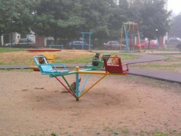 Позитив на воскресенье