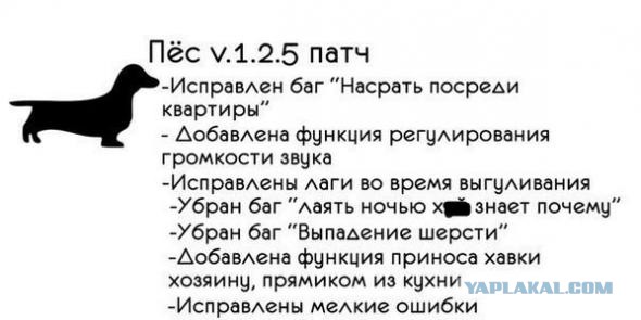 Подборка Картинок из сети