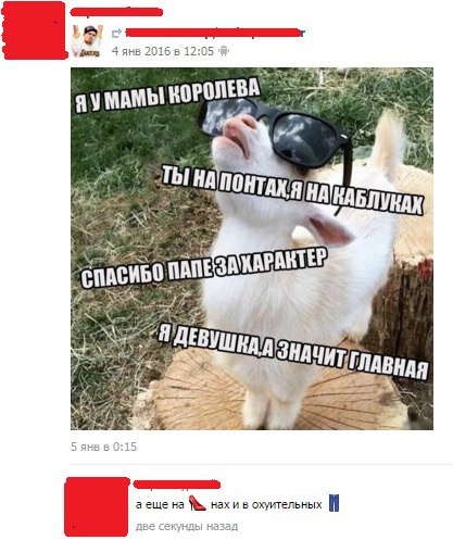 Ужасы и приколы из соцсетей 18+