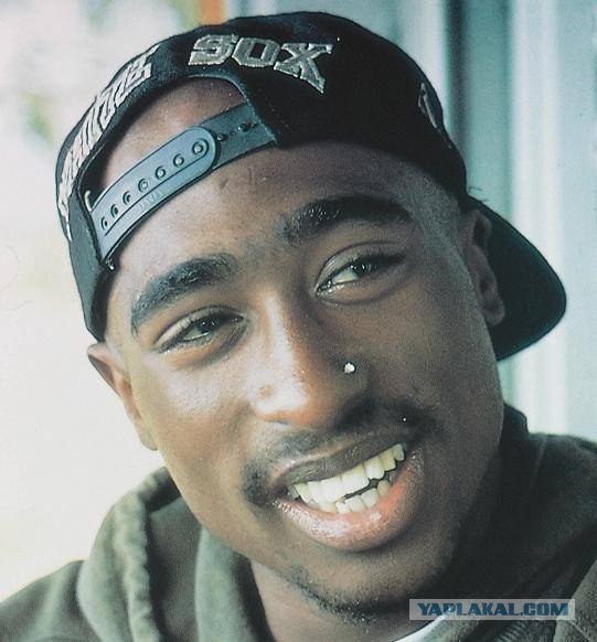 Знаменитости, которые умерли на глазах у зрителей.