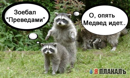 Разборки