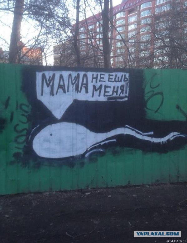 Ужасы и приколы из соцсетей 18+
