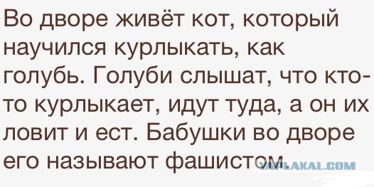 Смешные комментарии 08.03.2016