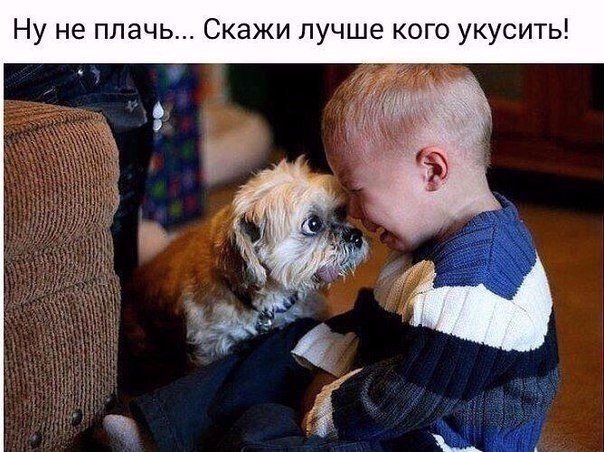 Подборка интересных и веселых картинок