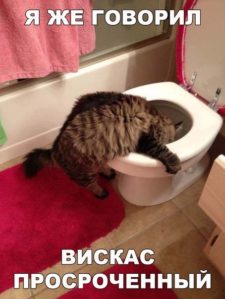 Мохнатые беспредельщики