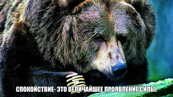 Божьи твари