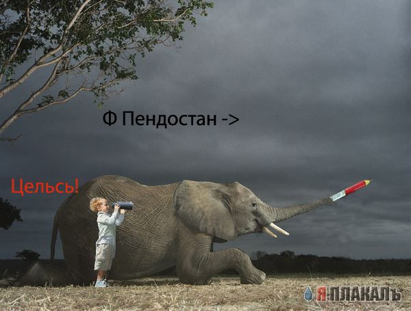 Фотожаба: Дареному слону..