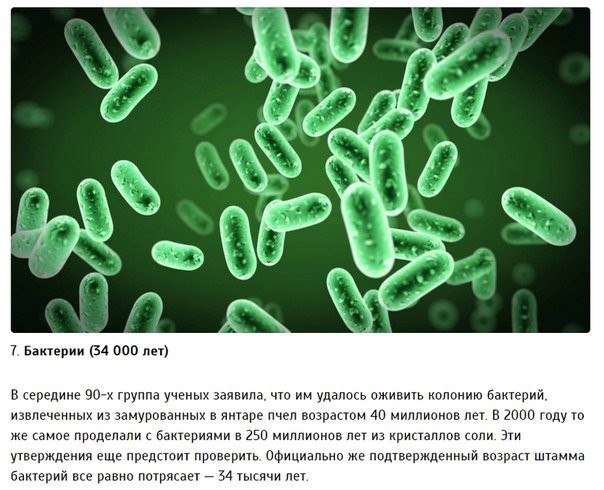 Картинки для отдыха глаз