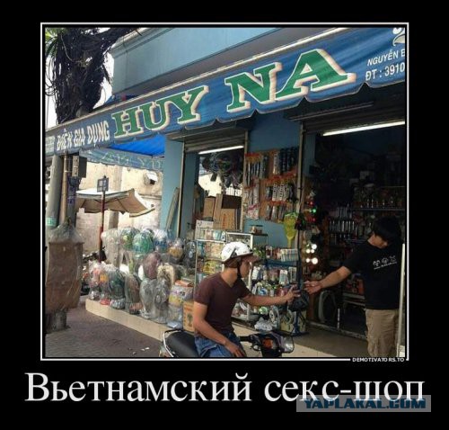 Наталья Поклонская "утёрла нос" интеллигенции