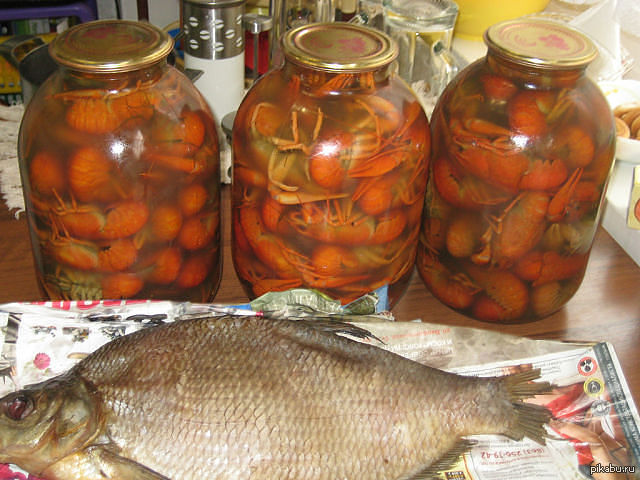 Самые странные консервированные продукты