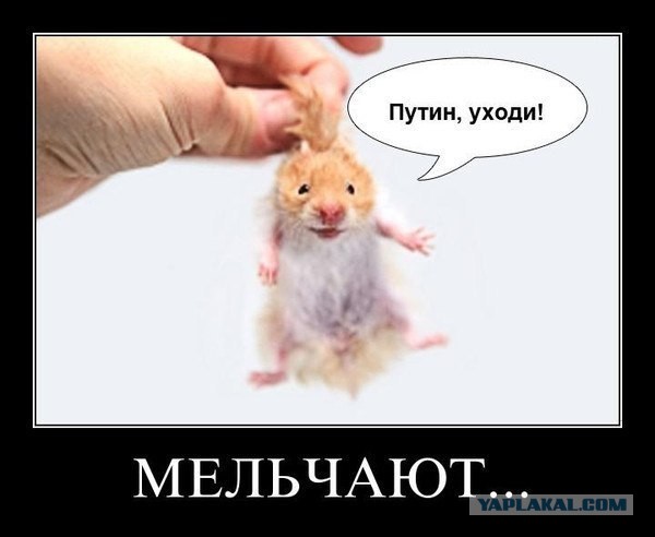 Алексей Навальный объявил о намерении участвовать в президентских выборах в 2018 году