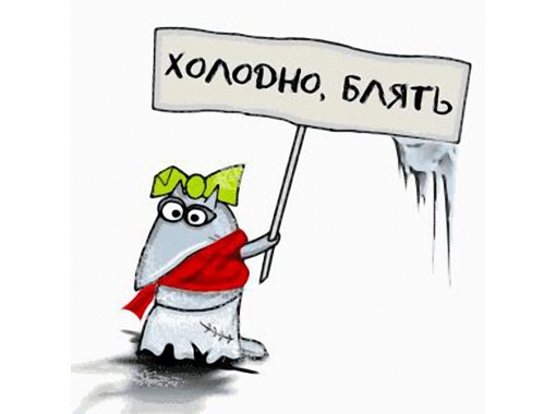Холодно у нас. - 50